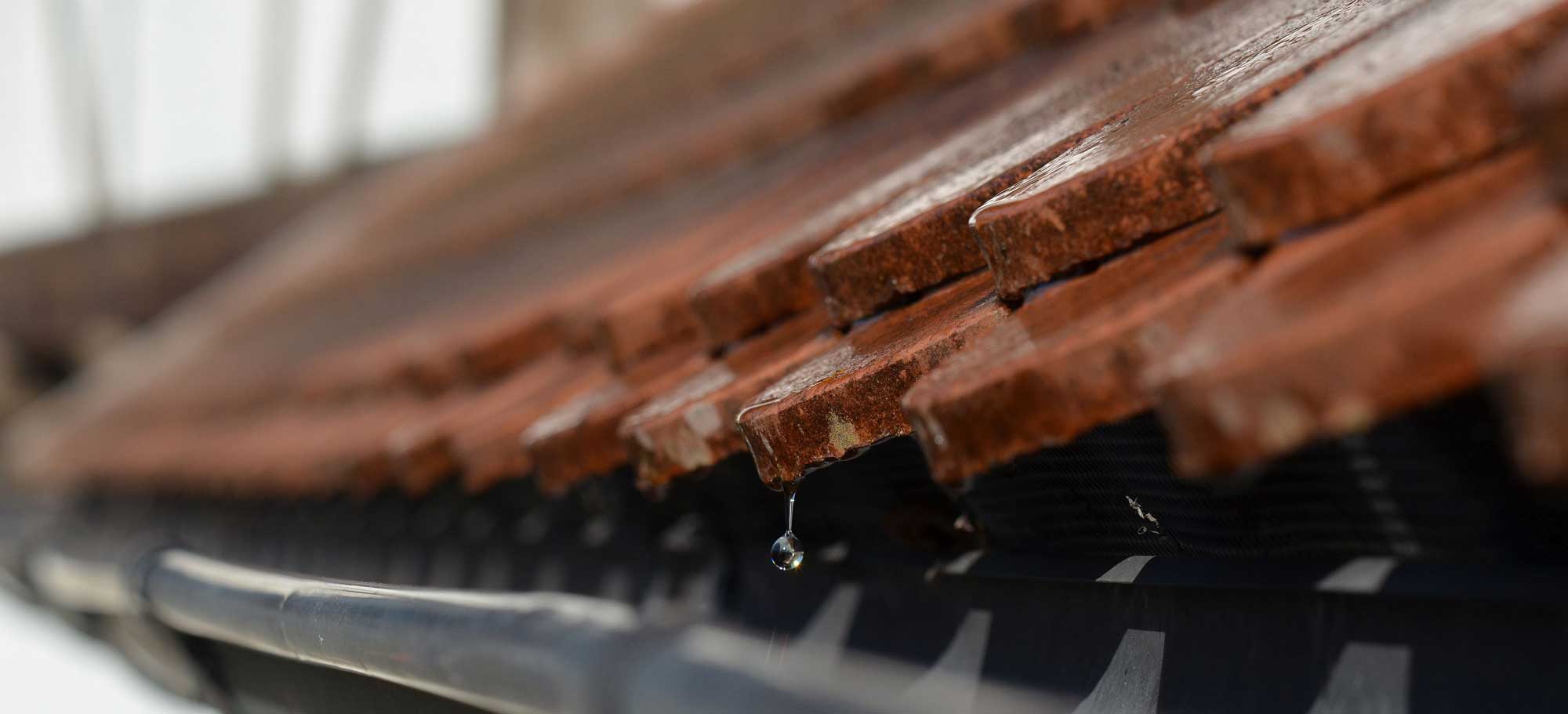 Public Adjuster for Roof Claim