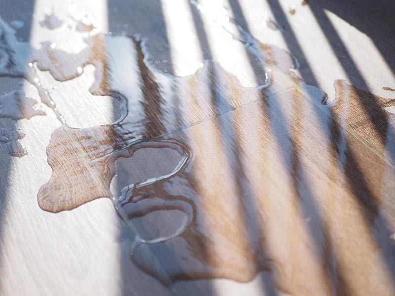 Florida Law Provides Checks and Balances